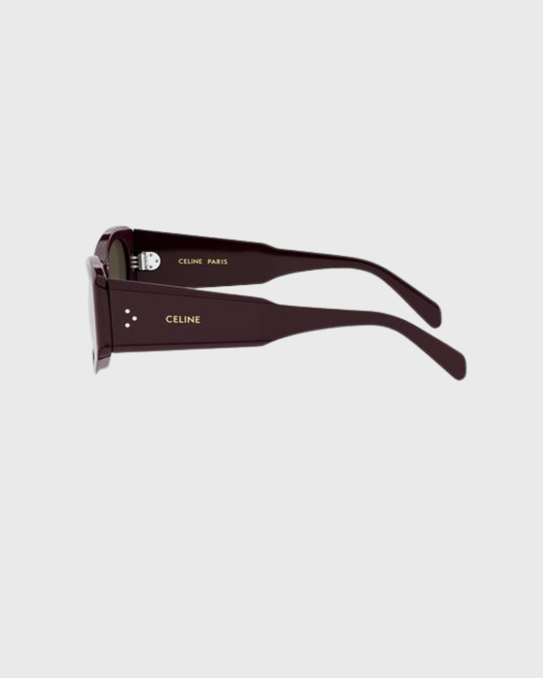 CELINE 40329U 48B 54