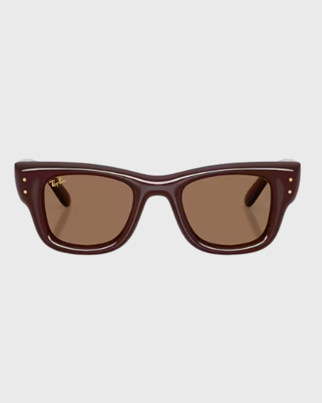 RAYBAN WAYFARER PUFFER SUNGLASS Dark brown /dark brown