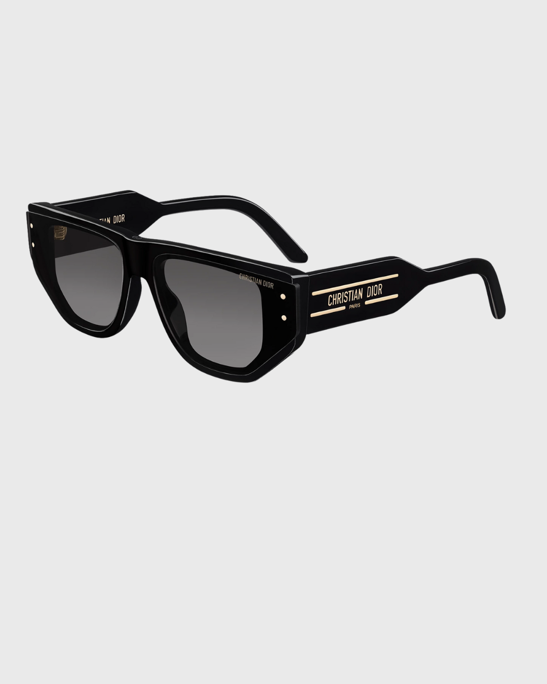 DIOR SIGNATURE S15I 10A0 64