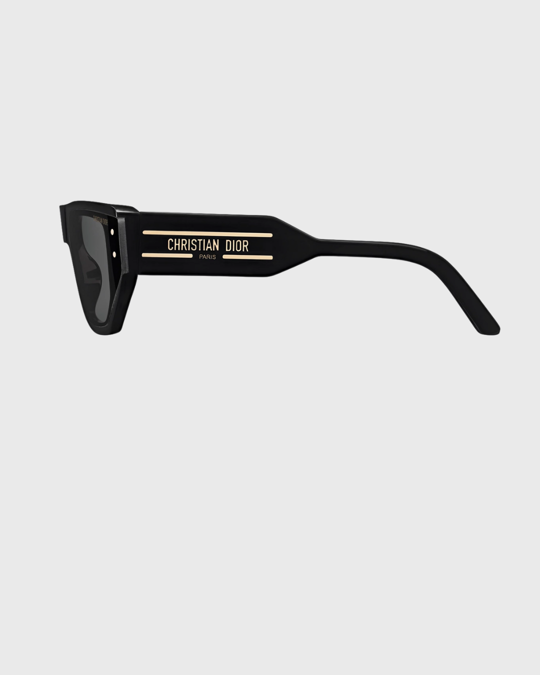 DIOR SIGNATURE S15I 10A0 64